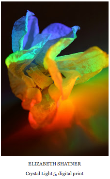 Elizabeth Shatner - Crystal Light 5, digital print